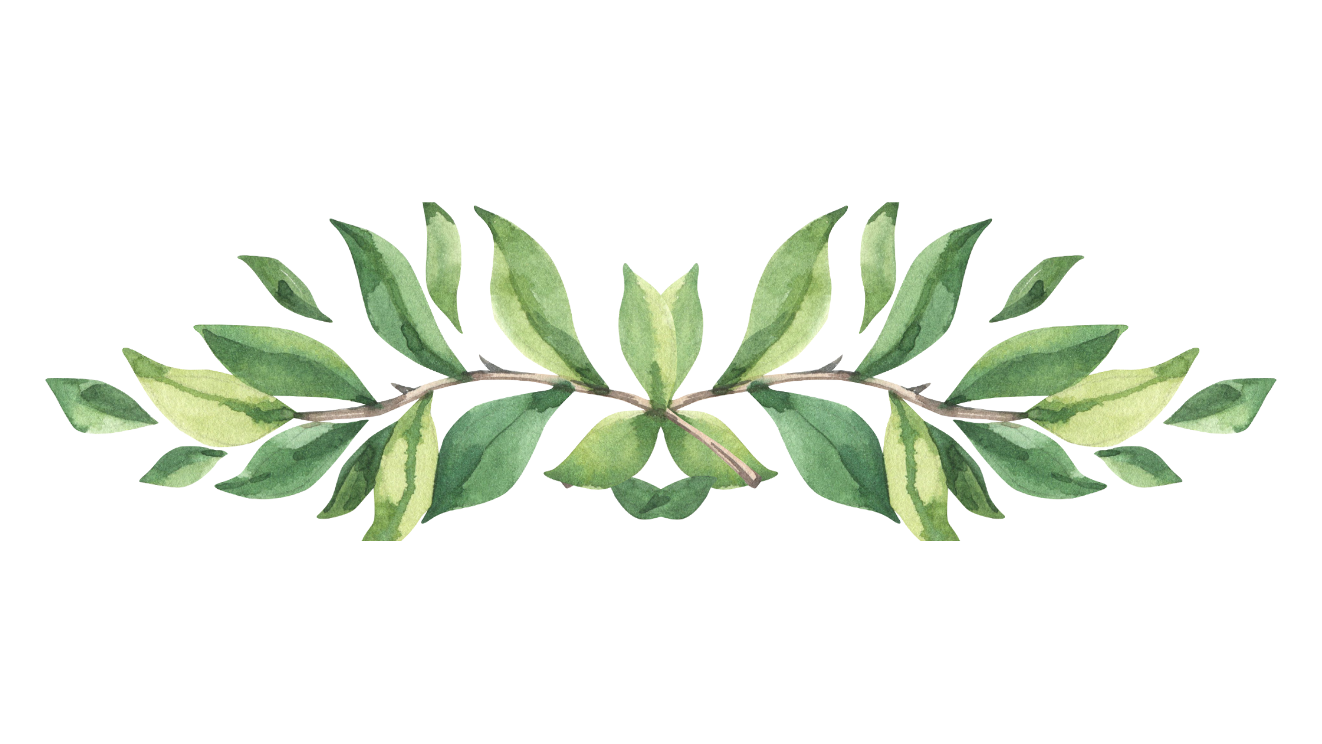 Moldura decorativa